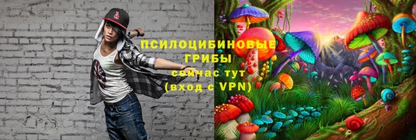 амфетамин Ладушкин