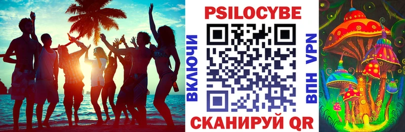 Купить где  Емва  Галлюциногенные грибы мицелий 